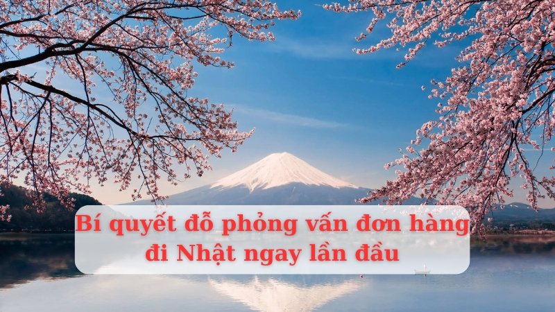 Bí quyết phỏng vấn đơn hàng đi Nhật ngay "lần đầu" Năm 2024