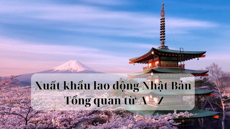 Xuất khẩu lao động Nhật Bản – Tổng quan từ A – Z năm 2024